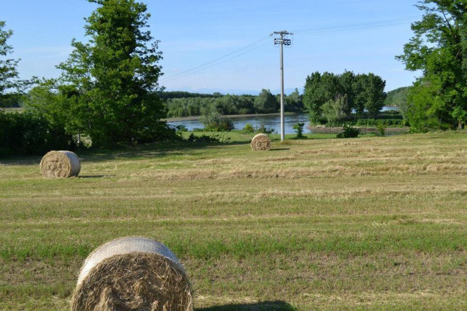 Agriturismo Il Campagnino Crémone Extérieur photo
