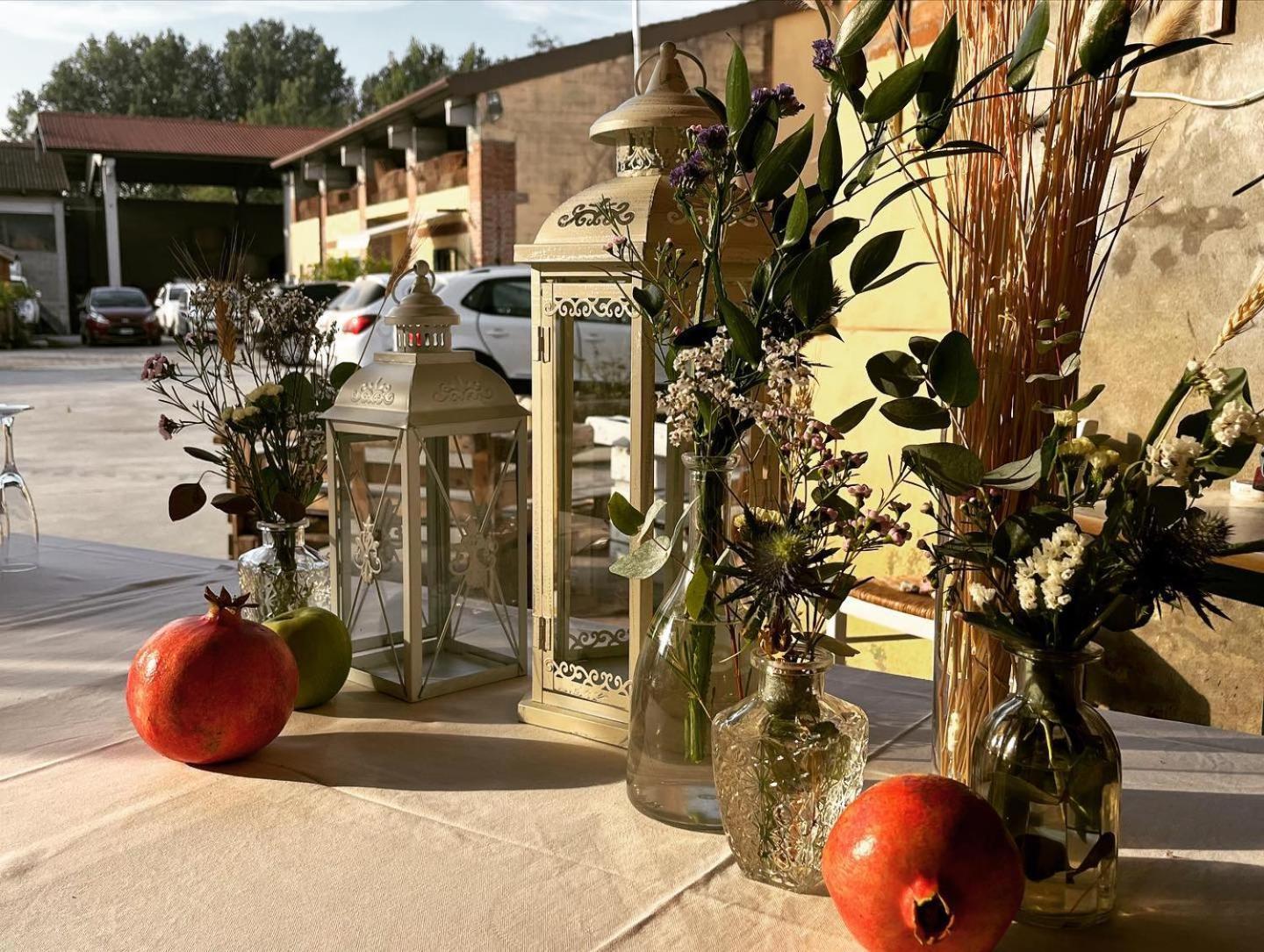 Agriturismo Il Campagnino Crémone Extérieur photo